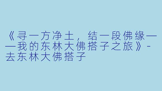 《寻一方净土，结一段佛缘——我的东林大佛搭子之旅》-去东林大佛搭子