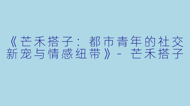 《芒禾搭子：都市青年的社交新宠与情感纽带》-芒禾搭子