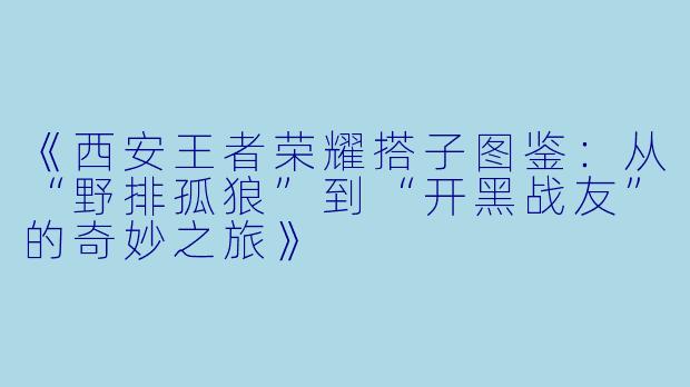 《西安王者荣耀搭子图鉴：从“野排孤狼”到“开黑战友”的奇妙之旅》