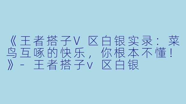 《王者搭子V区白银实录：菜鸟互啄的快乐，你根本不懂！》-王者搭子v区白银