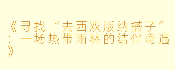 《寻找“去西双版纳搭子”：一场热带雨林的结伴奇遇》