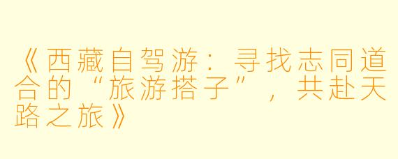《西藏自驾游：寻找志同道合的“旅游搭子”，共赴天路之旅》