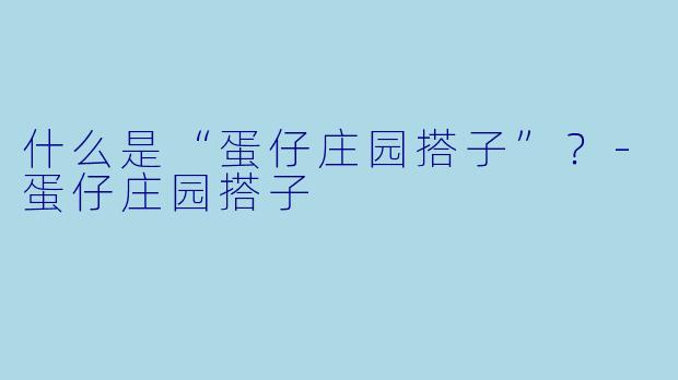 什么是“蛋仔庄园搭子”？