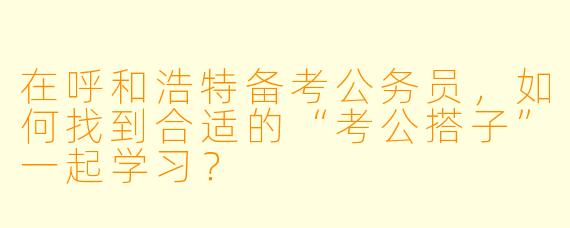 在呼和浩特备考公务员，如何找到合适的“考公搭子”一起学习？