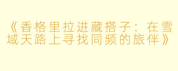 《香格里拉进藏搭子：在雪域天路上寻找同频的旅伴》