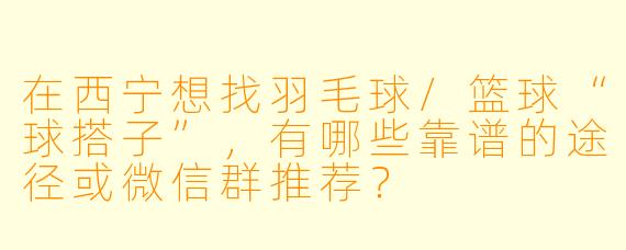 在西宁想找羽毛球/篮球“球搭子”，有哪些靠谱的途径或微信群推荐？