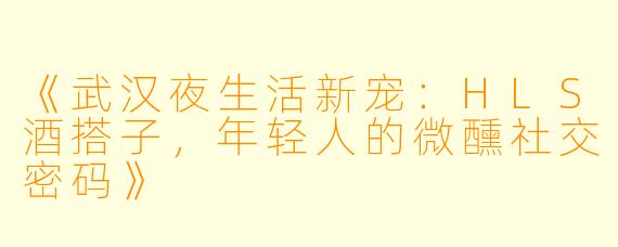 《武汉夜生活新宠：HLS酒搭子，年轻人的微醺社交密码》