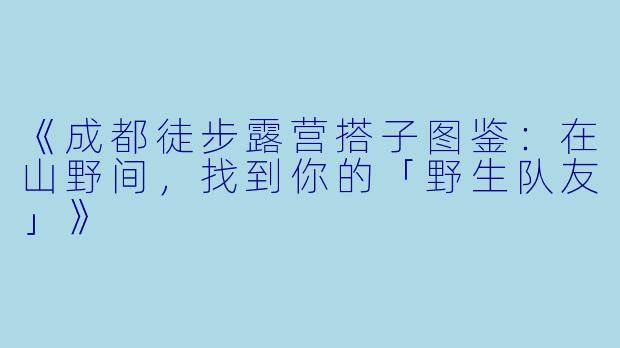 《成都徒步露营搭子图鉴：在山野间，找到你的「野生队友」》