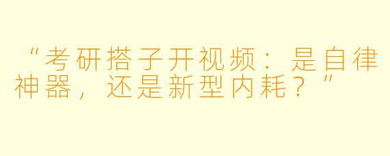 “考研搭子开视频：是自律神器，还是新型内耗？”