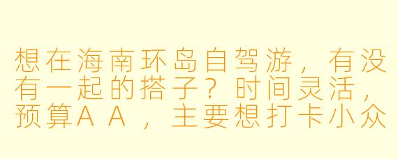 想在海南环岛自驾游，有没有一起的搭子？时间灵活，预算AA，主要想打卡小众景点和吃地道美食，男女不限，求组队！