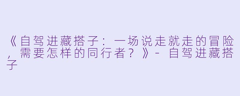 《自驾进藏搭子：一场说走就走的冒险，需要怎样的同行者？》-自驾进藏搭子
