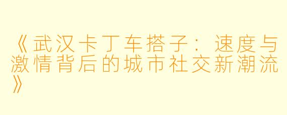《武汉卡丁车搭子：速度与激情背后的城市社交新潮流》