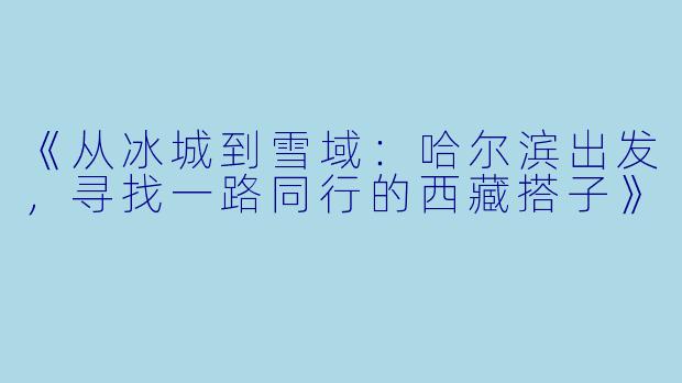 《从冰城到雪域：哈尔滨出发，寻找一路同行的西藏搭子》