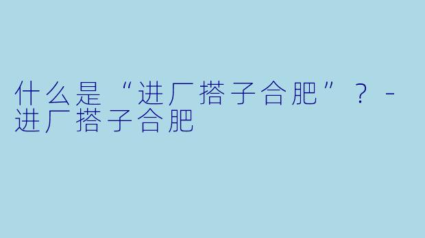 什么是“进厂搭子合肥”？-进厂搭子合肥