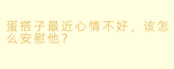 蛋搭子最近心情不好，该怎么安慰他？
