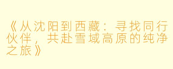 《从沈阳到西藏：寻找同行伙伴，共赴雪域高原的纯净之旅》