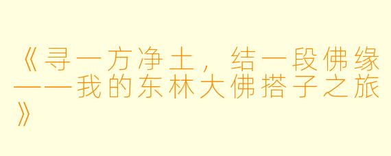 《寻一方净土，结一段佛缘——我的东林大佛搭子之旅》