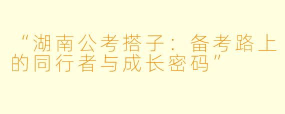 “湖南公考搭子：备考路上的同行者与成长密码”