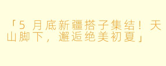 「5月底新疆搭子集结!天山脚下,邂逅绝美初夏」