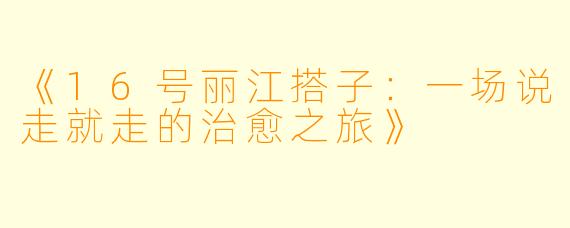 《16号丽江搭子：一场说走就走的治愈之旅》