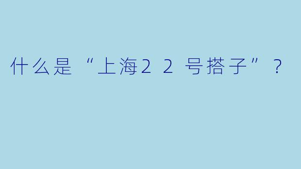 什么是“上海22号搭子”？