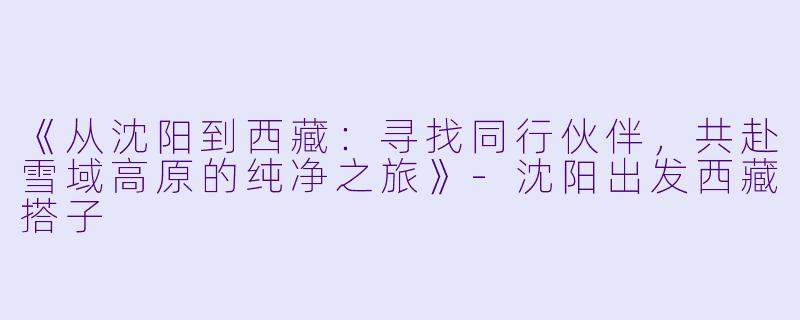 《从沈阳到西藏：寻找同行伙伴，共赴雪域高原的纯净之旅》-沈阳出发西藏搭子