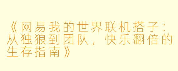 《网易我的世界联机搭子：从独狼到团队，快乐翻倍的生存指南》
