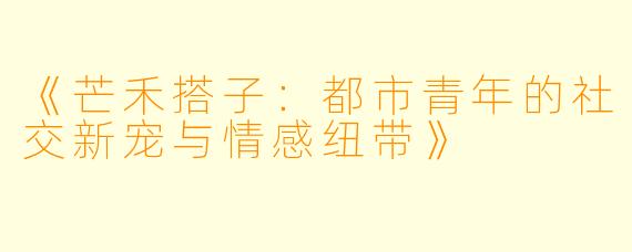 《芒禾搭子：都市青年的社交新宠与情感纽带》