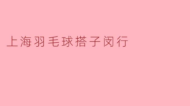 上海羽毛球搭子闵行