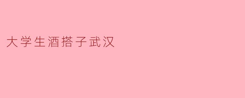大学生酒搭子武汉