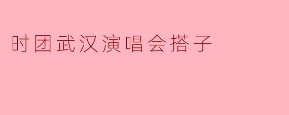 时团武汉演唱会搭子