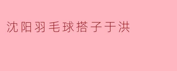 沈阳羽毛球搭子于洪