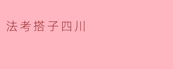 法考搭子四川