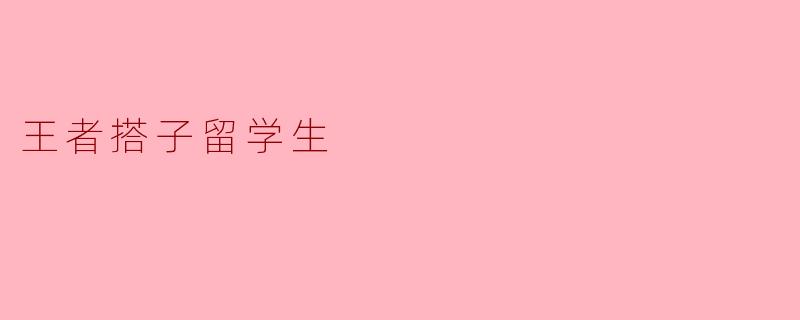 王者搭子留学生