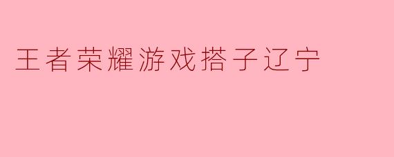 王者荣耀游戏搭子辽宁