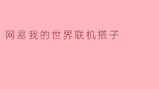 网易我的世界联机搭子