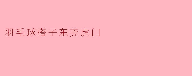 羽毛球搭子东莞虎门