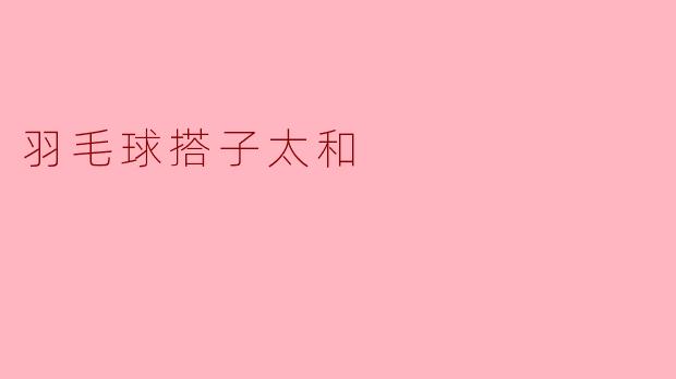 羽毛球搭子太和