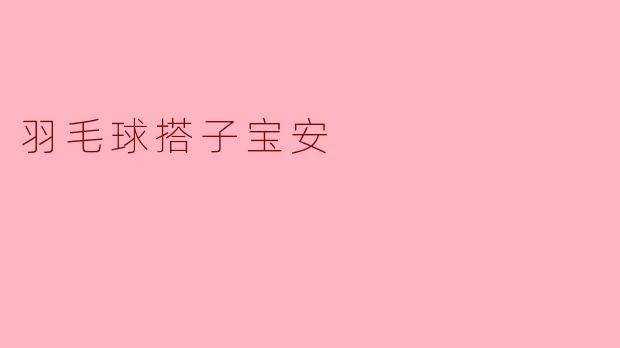 羽毛球搭子宝安