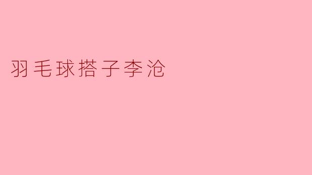 羽毛球搭子李沧