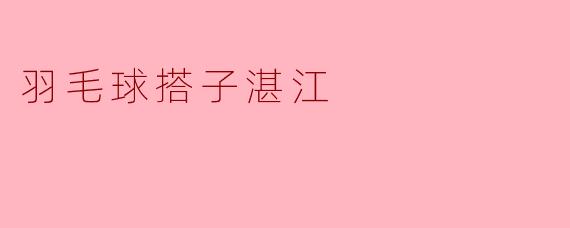 羽毛球搭子湛江