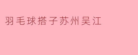 羽毛球搭子苏州吴江
