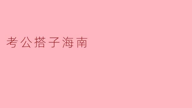 考公搭子海南