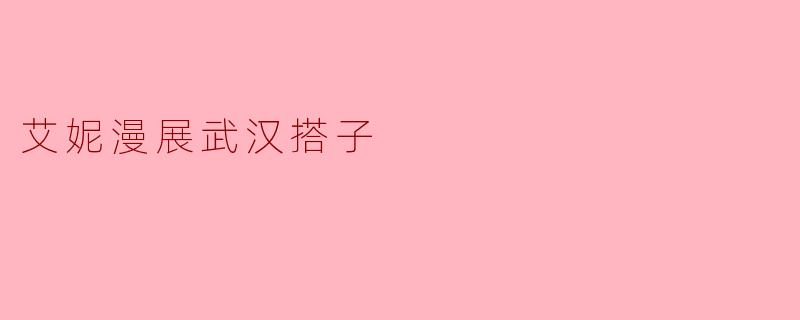 艾妮漫展武汉搭子