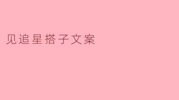 见追星搭子文案