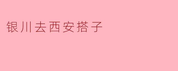 银川去西安搭子