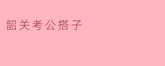韶关考公搭子