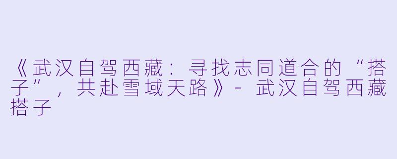 《武汉自驾西藏：寻找志同道合的“搭子”，共赴雪域天路》-武汉自驾西藏搭子