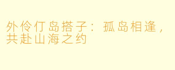 外伶仃岛搭子：孤岛相逢，共赴山海之约