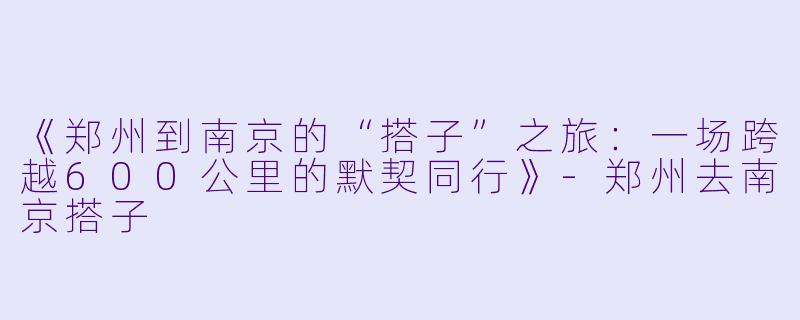 《郑州到南京的“搭子”之旅：一场跨越600公里的默契同行》-郑州去南京搭子